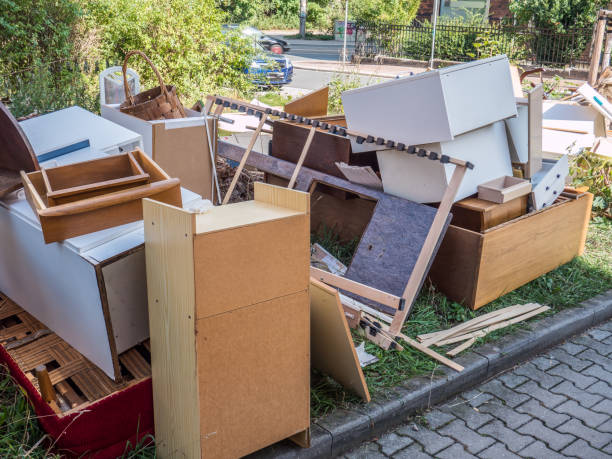 Best Electronics Removal Services  in Edneyville, NC